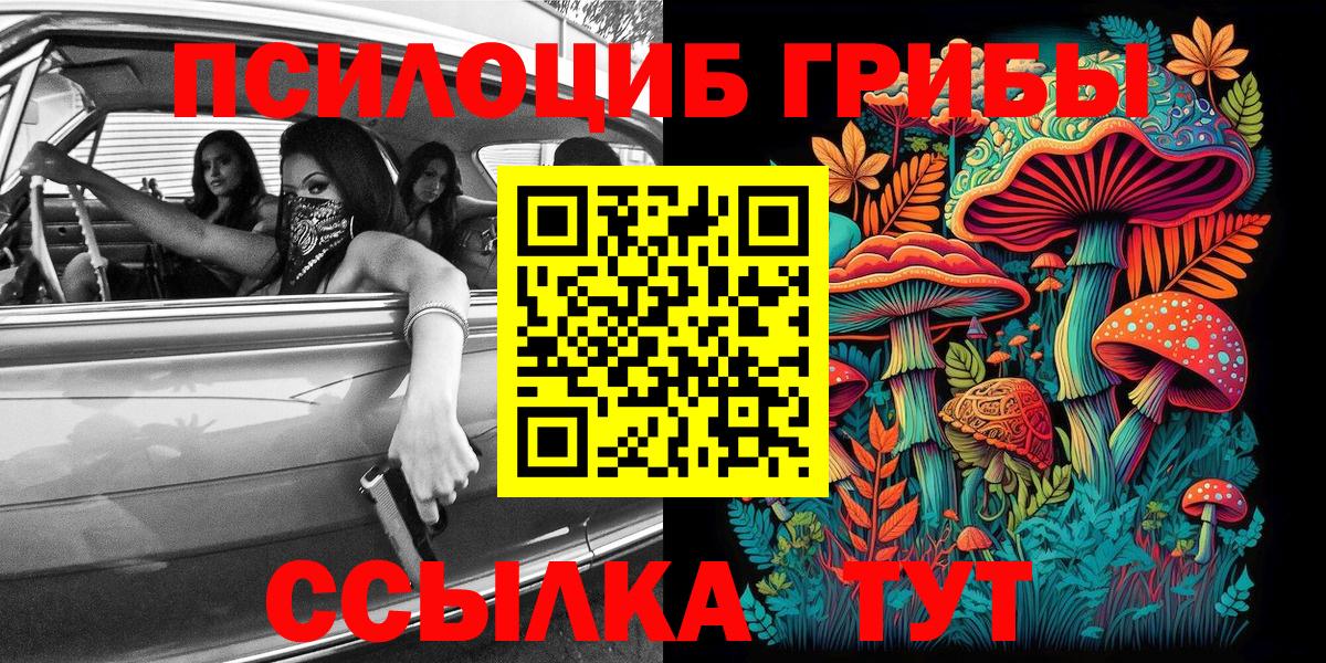 Псилоцибиновые грибы Cubensis  Вход с VPN  Ликино-Дулёво 